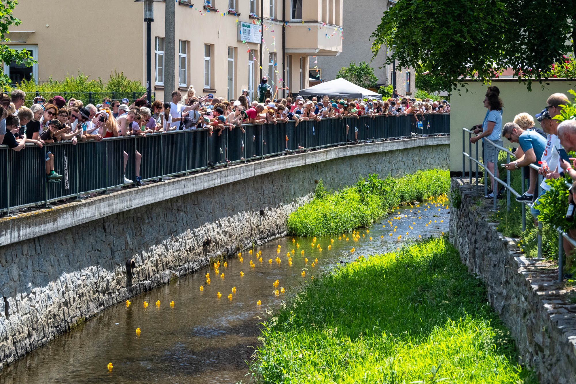 1. Tholmer Entenrennen | 28.06.2025 | Stadtfest »100 Jahre Stadtrecht« Thalheim/Erzgebirge