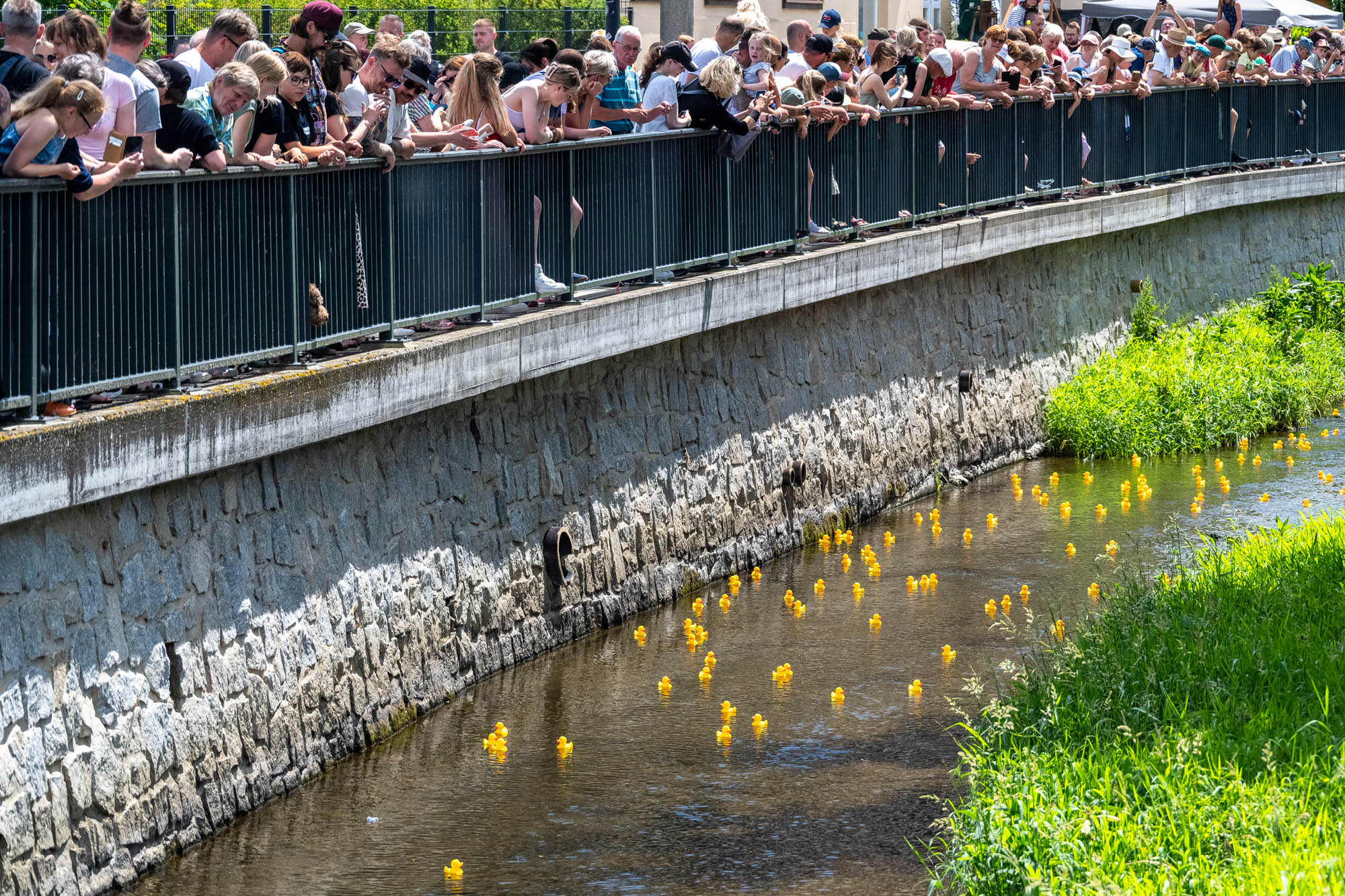 1. Tholmer Entenrennen | 28.06.2025 | Stadtfest »100 Jahre Stadtrecht« Thalheim/Erzgebirge