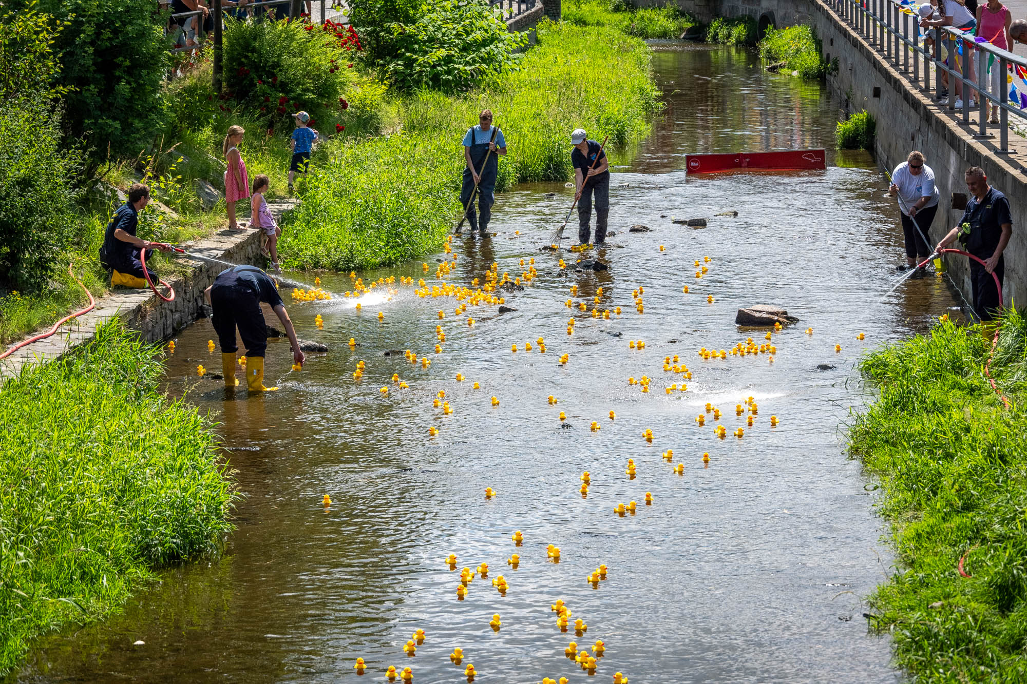 1. Tholmer Entenrennen | 28.06.2025 | Stadtfest »100 Jahre Stadtrecht« Thalheim/Erzgebirge